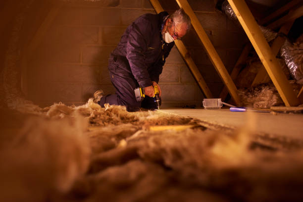 Best Basement Insulation  in USA